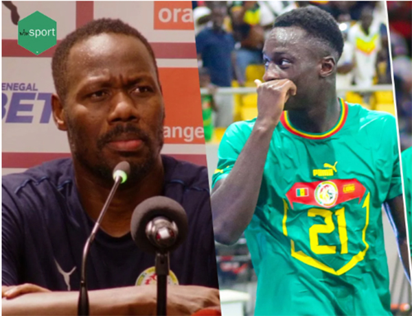 Tanière – Confiance, complicité entre le joueur et son coach : Pape Thiaw-Habib Diarra : une connexion en téléchargement