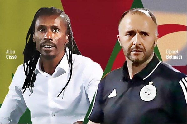 Sur le banc – Algérie-Sénégal : Djamel Belmadi-Aliou Cissé, deux entraîneurs XXL au chômage