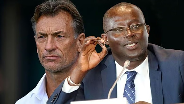 Staff lions – Me Senghor dément Hervé Renard : «Je n’ai pas reçu un dossier de sa candidature»