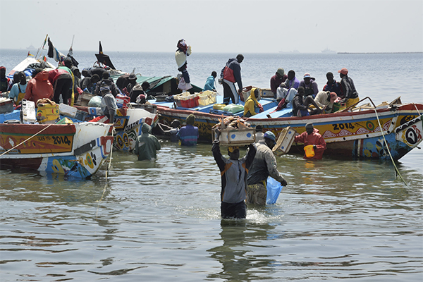 Pour une durabilité des ressources : Les acteurs de la pêche se jettent à l’eau
