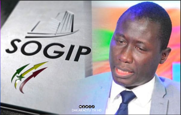 Gestion Stade Abdoulaye Wade, Dakar Arena… : Nouveau Dg Sogip, Dame Mbodji réclame ses dettes !
