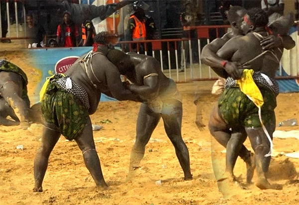 Lutte : Gris 2 trop lourd pour Doomu Dangou