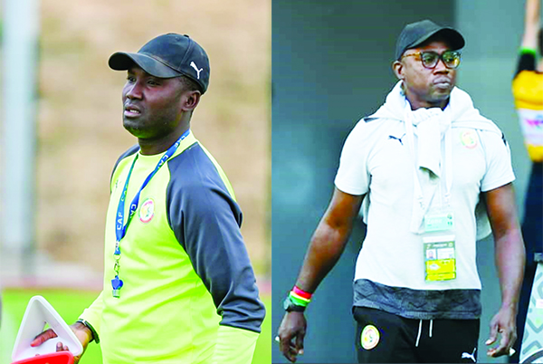 Sur le banc – Nouveau coach des Lions locaux : Souleymane Diallo se «sépare» de Serigne Saliou Dia