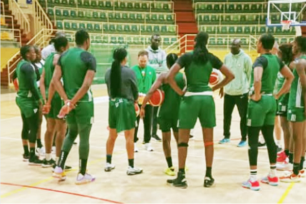 Basket – TQO Les Lionnes face aux D’Tigress, cet après-midi à Anvers : Une revanche pour Paris !