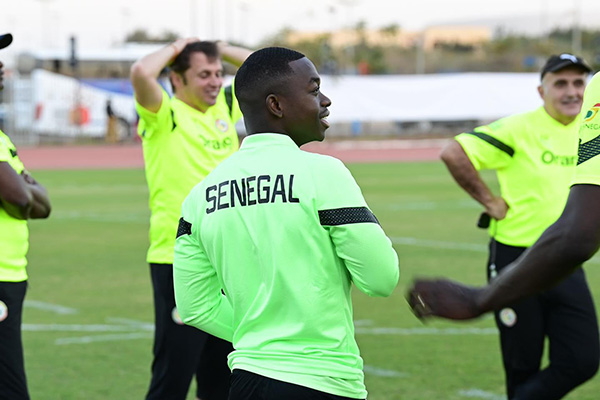Regroupement : Les Lions presque au complet !
