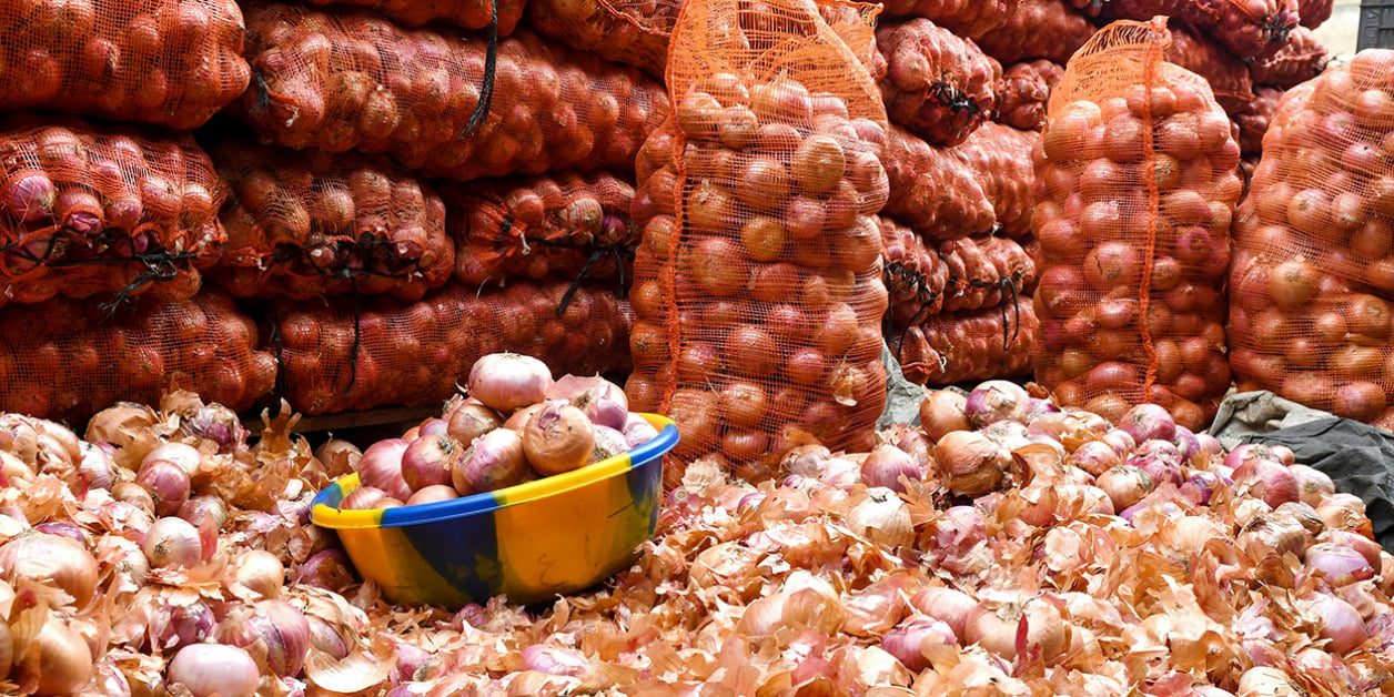 Senegalese Onion, Let’s End the Teary Debate