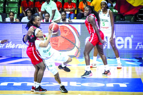 Afrobasket – En finale contre le Nigeria, après sa victoire sur le Mali (75-65) : Le Sénégal va défier le champion et défendre son record