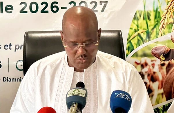 Conf’ Presse – Maîtrise de l’eau, commercialisation, assurance agricole… Cheikh aOumar Bâ fait le bilan de sa tournée agricole nationale