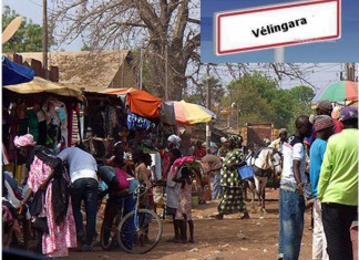 Vélingara – Journée internationale de la femme rurale : Les attentes des «rurales»