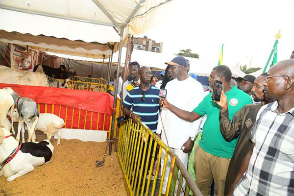 Grand-Yoff – Première Foire de l’élevage de Dakar : Abass Fall s’engage aux côtés des éleveurs