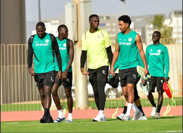 Avec des Lions présents à Dakar : La délégation sénégalaise quitte dimanche pour Dublin