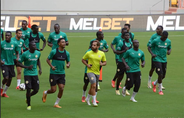 Amicaux – Matchs contre l’Irlande et l’Angleterre, en juin : Les Lions vont se préparer… à Dakar