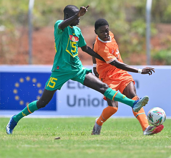 Can scolaire U15 : Les Lionceaux en demi-finale !